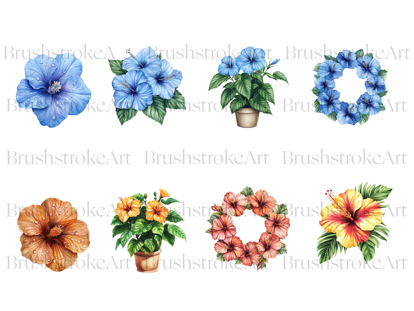 Hibiscus Clipart