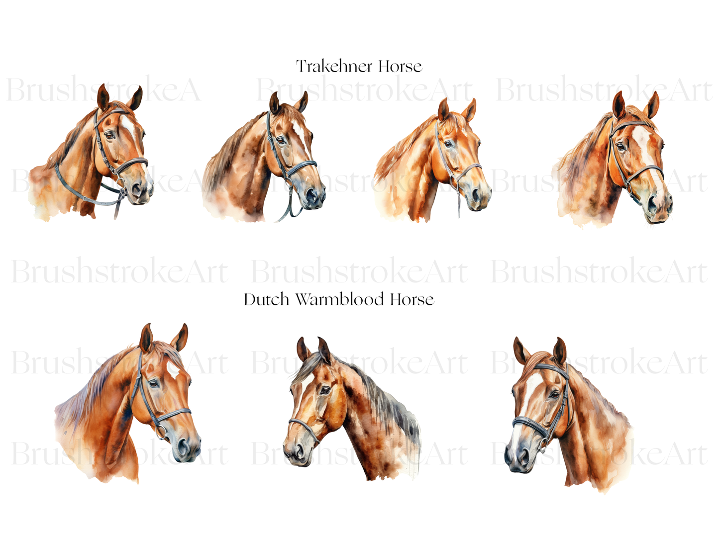 Horse Breeds