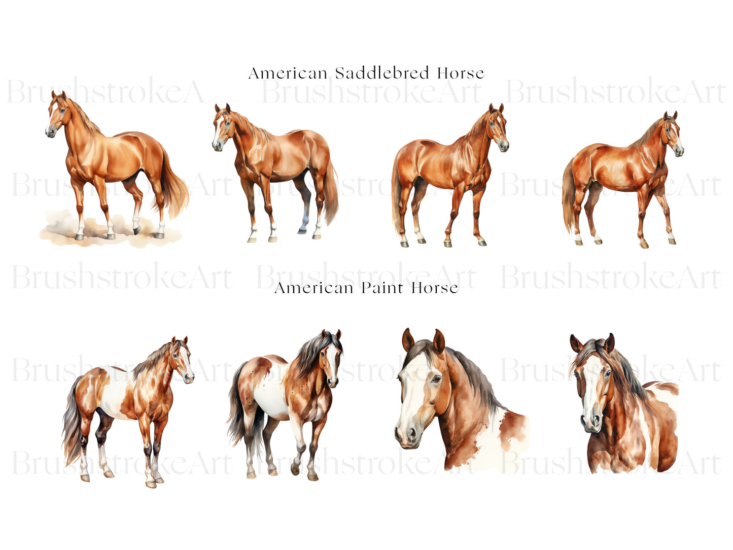 Horse PNG