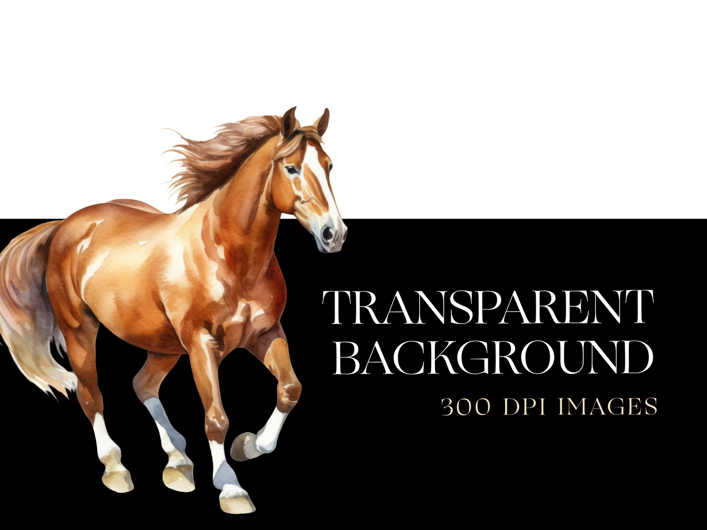 Horse PNG