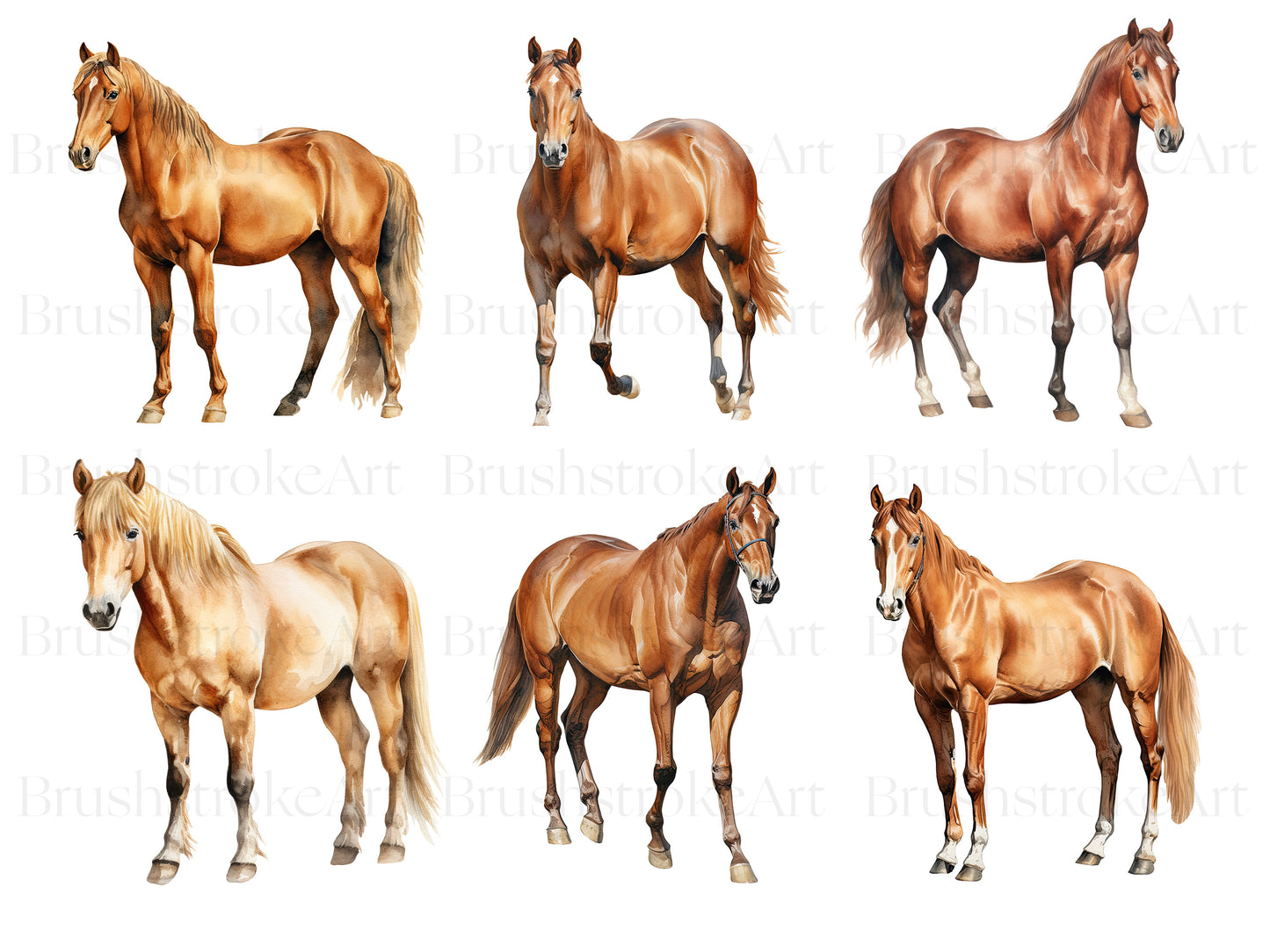 Horse clipart