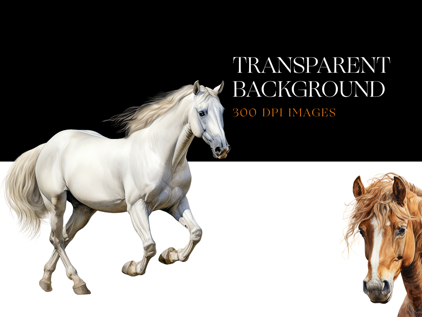 Horse png