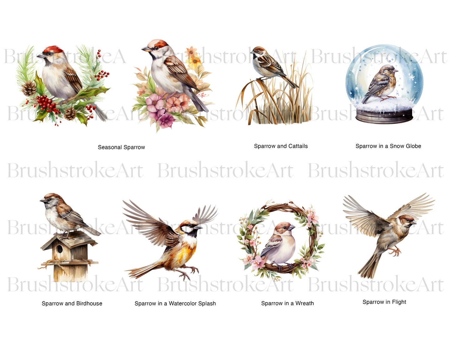 House Sparrow