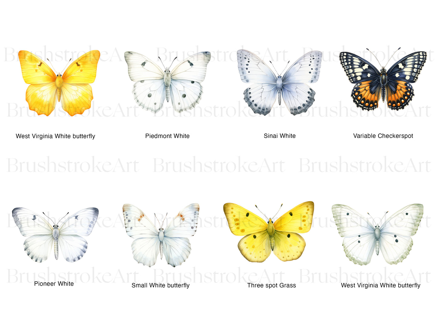 Ivory Butterflies