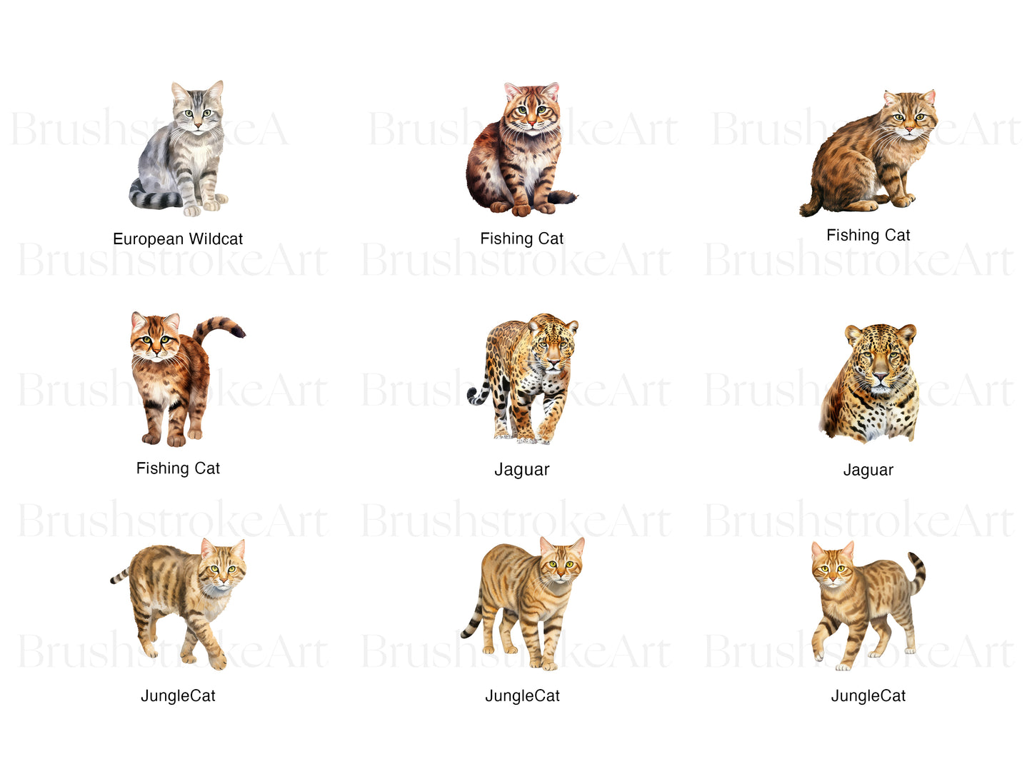 Jaguar Clipart