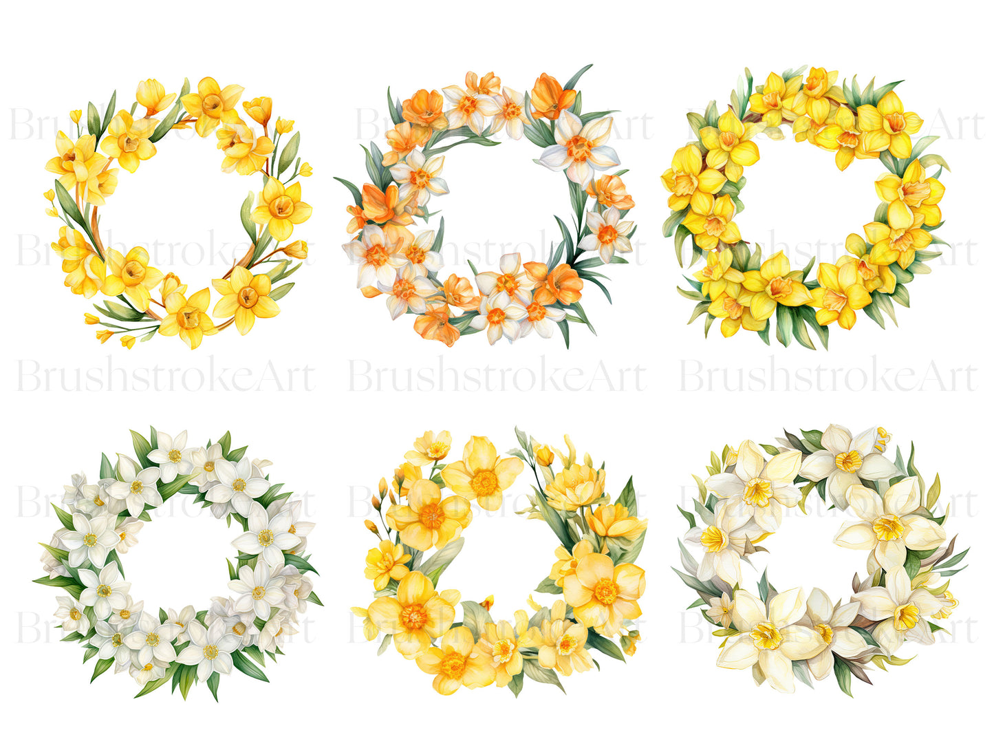 Jonquil clip art