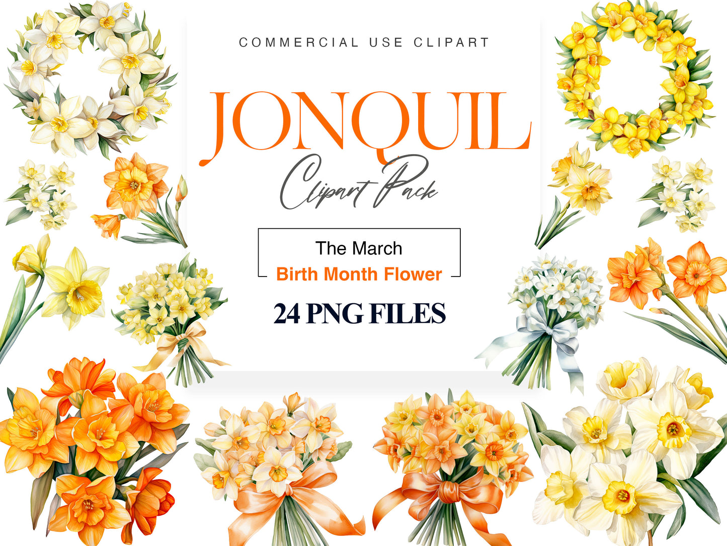 Jonquil clipart
