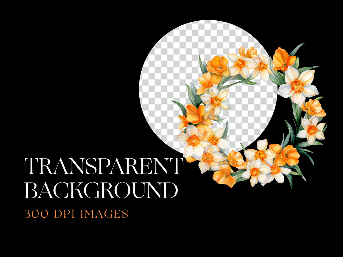 Jonquil png