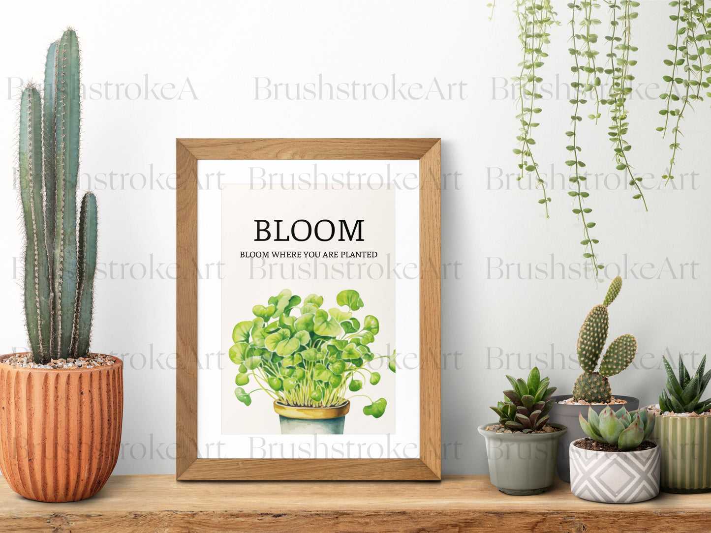Kitchen Decor