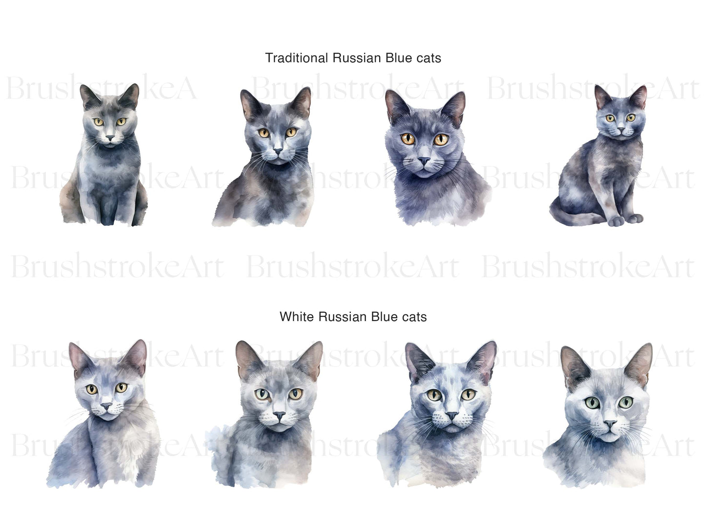 Russian Blue Cat Clipart, Watercolor Cat, Russian Cat Breed