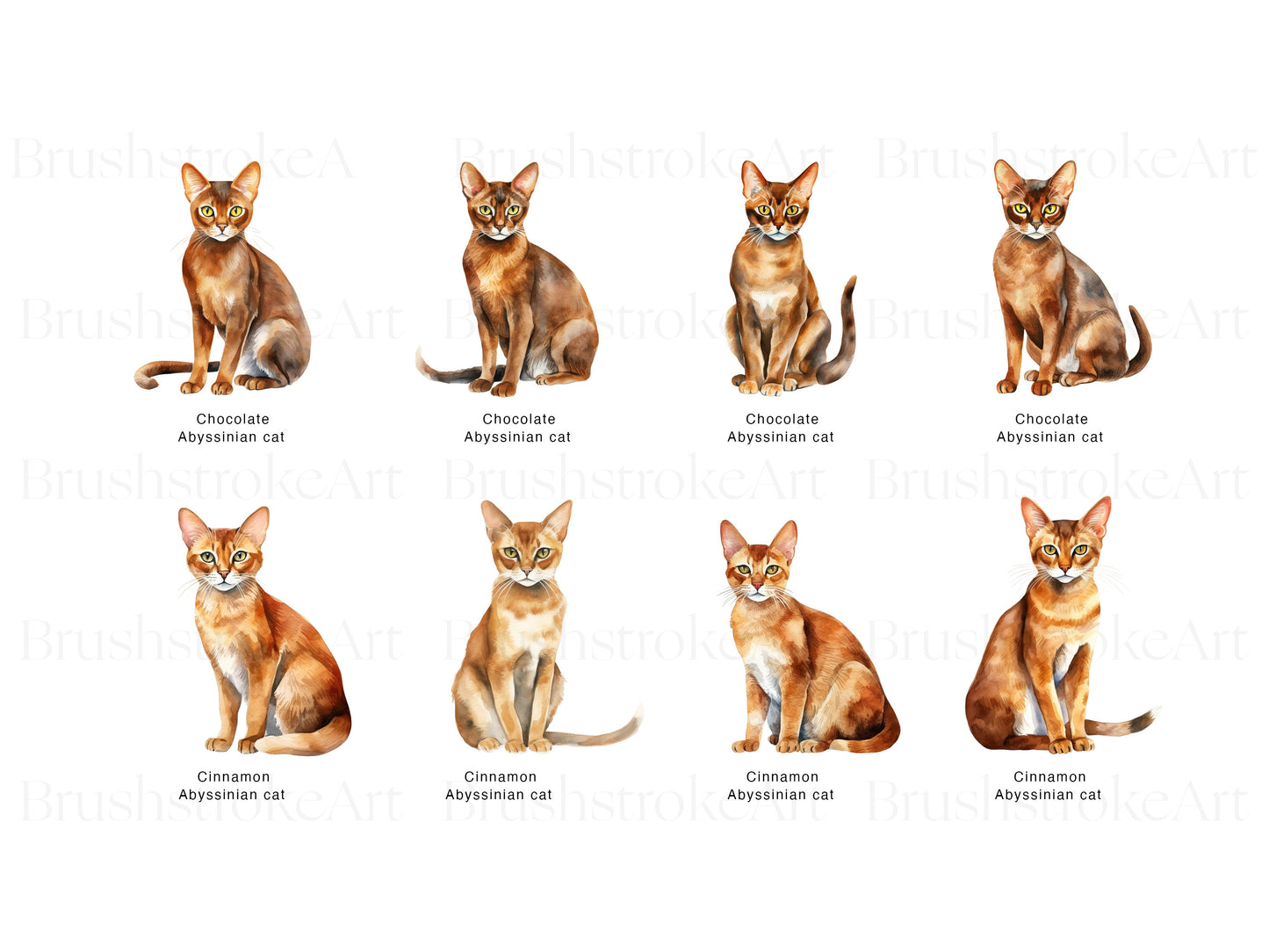 Kitten Clipart