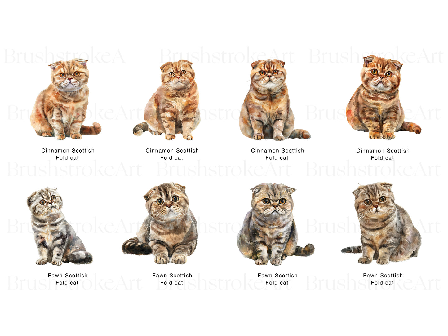 Kitten Clipart