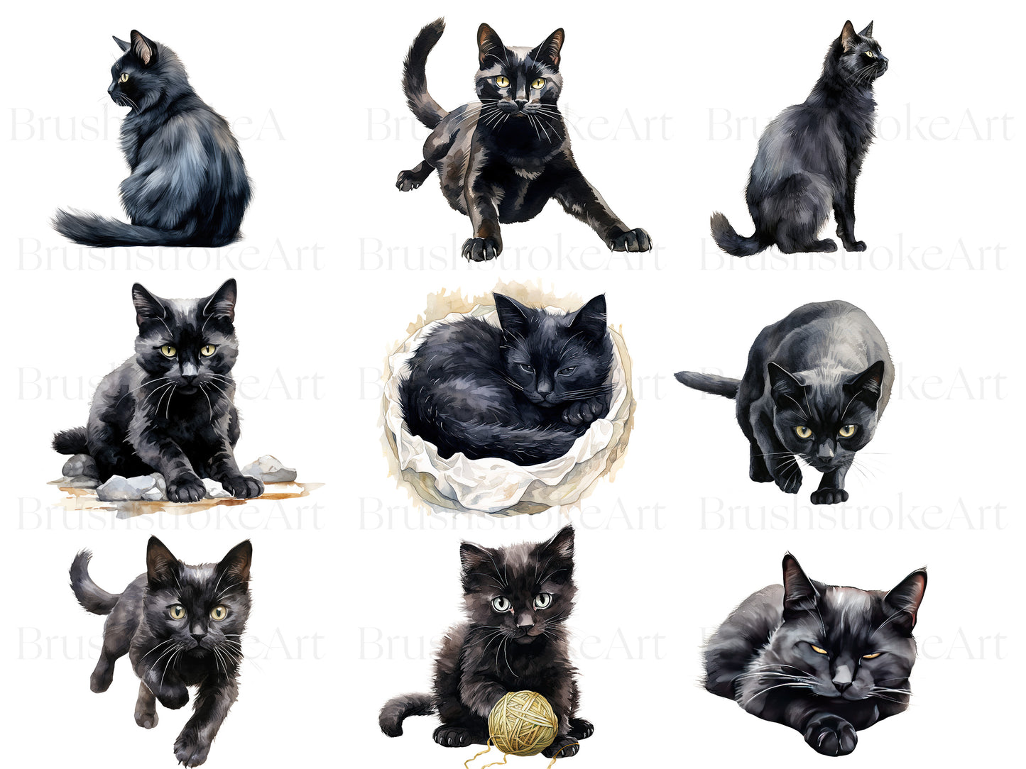 Kitten PNG
