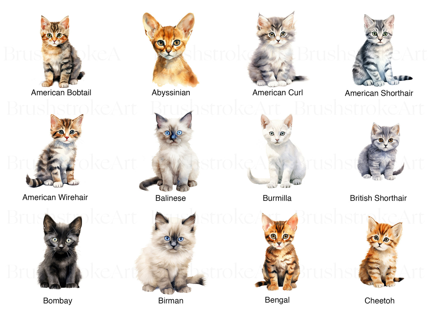 Kitten clipart