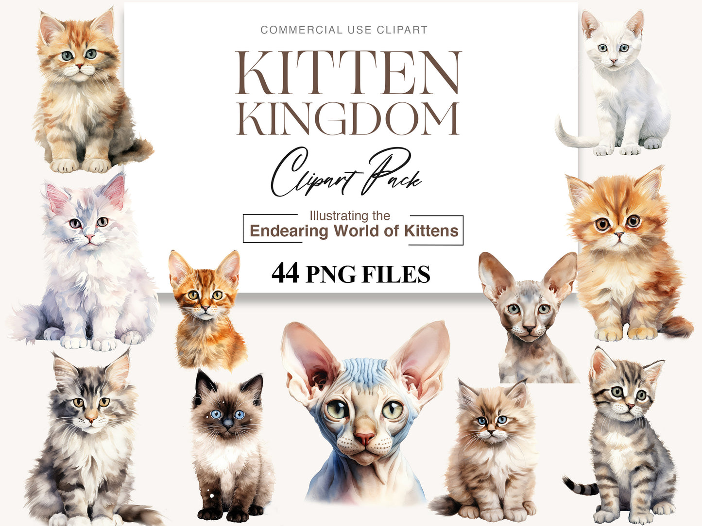 Kitten clipart