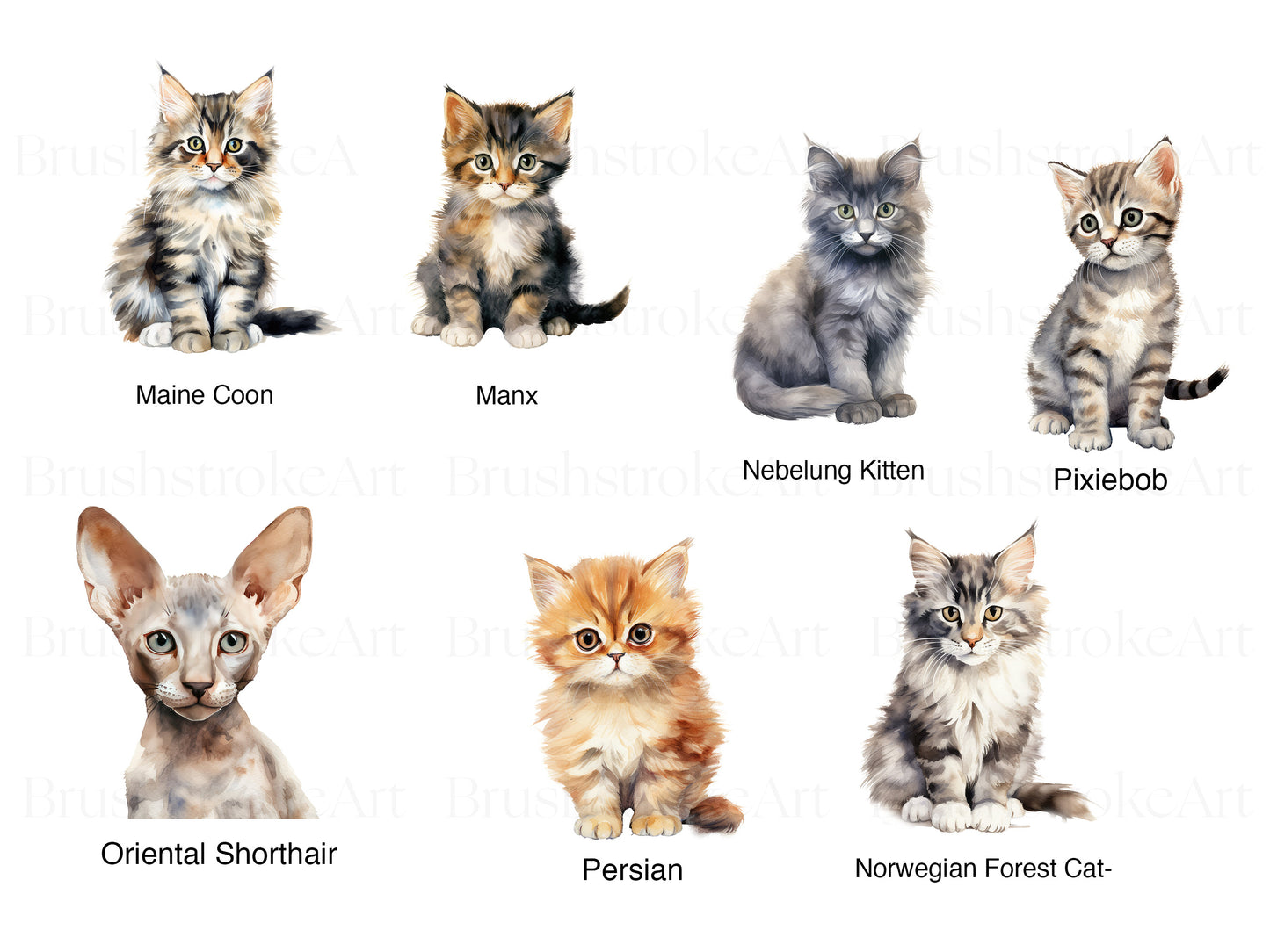 Kitten clipart set