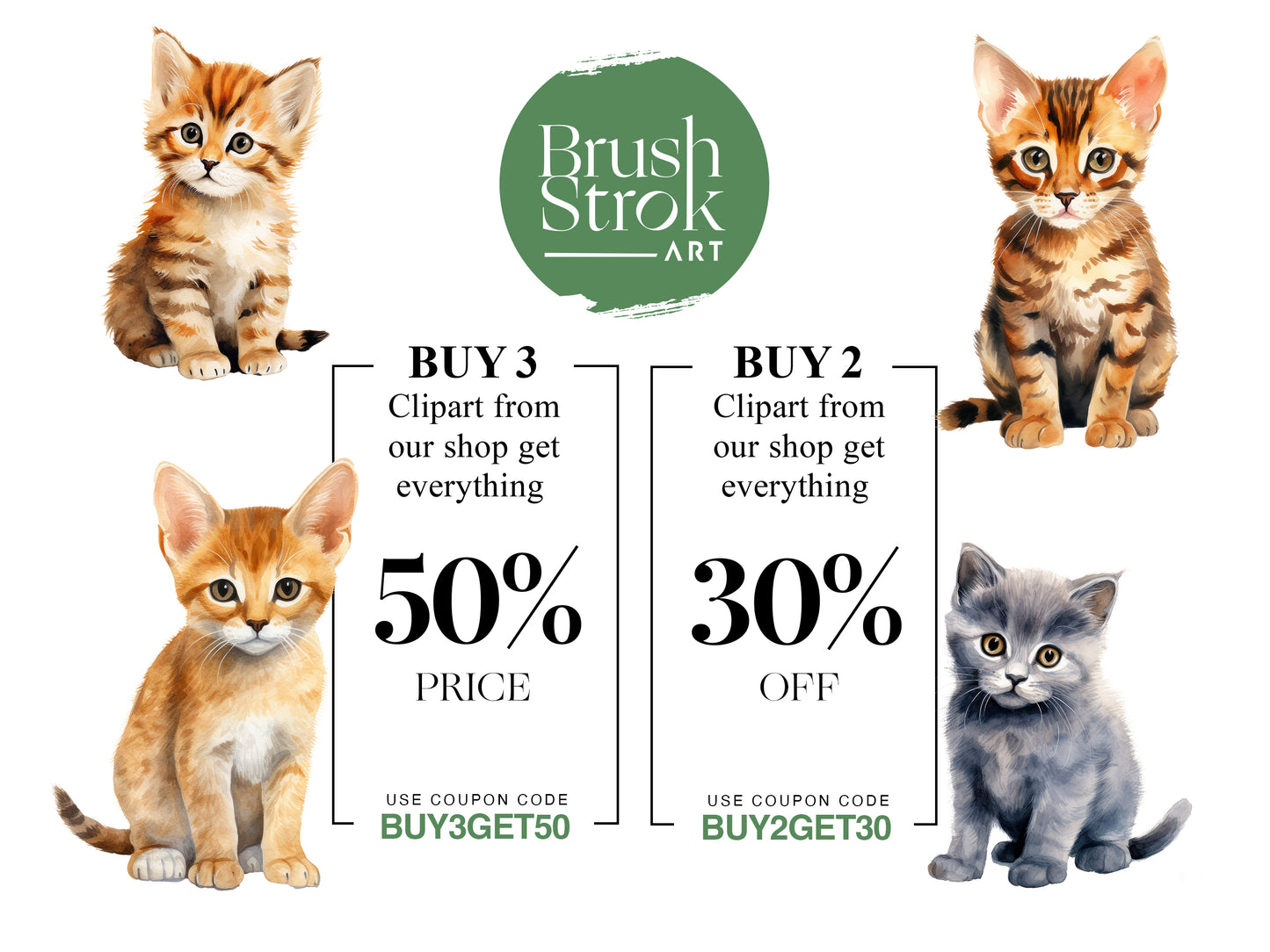 Kitten images