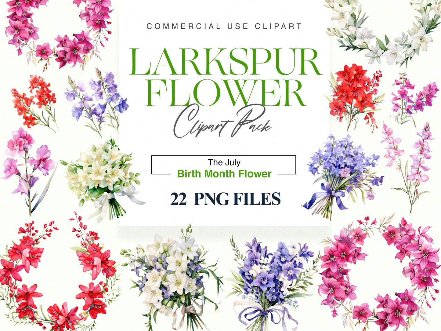 Larkspur clipart