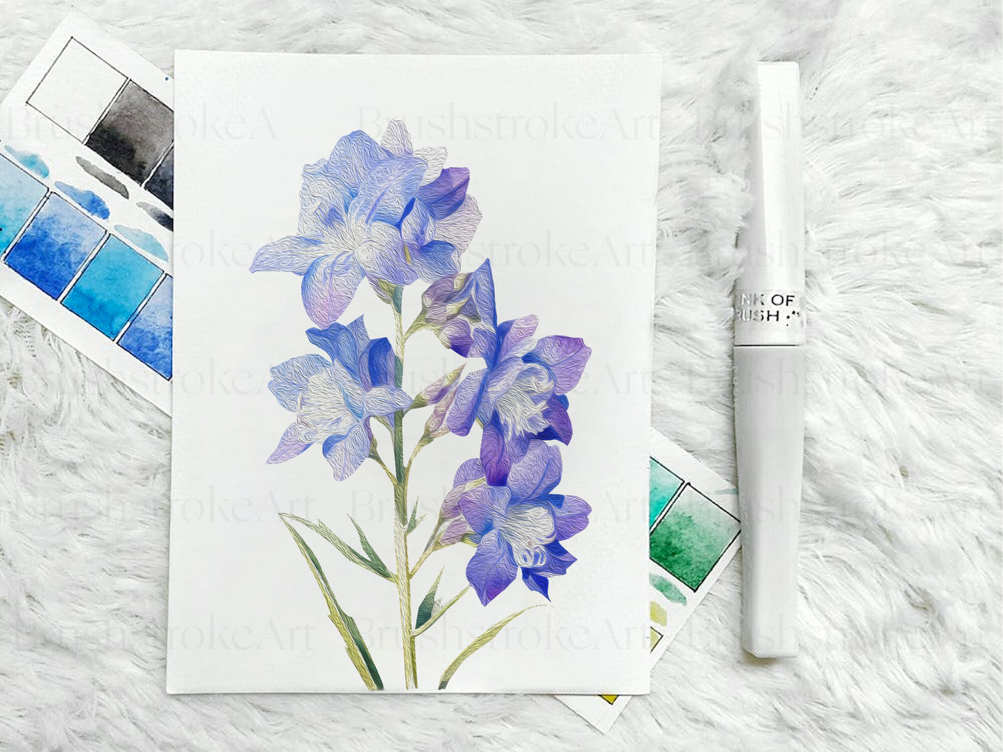 Larkspur postcard
