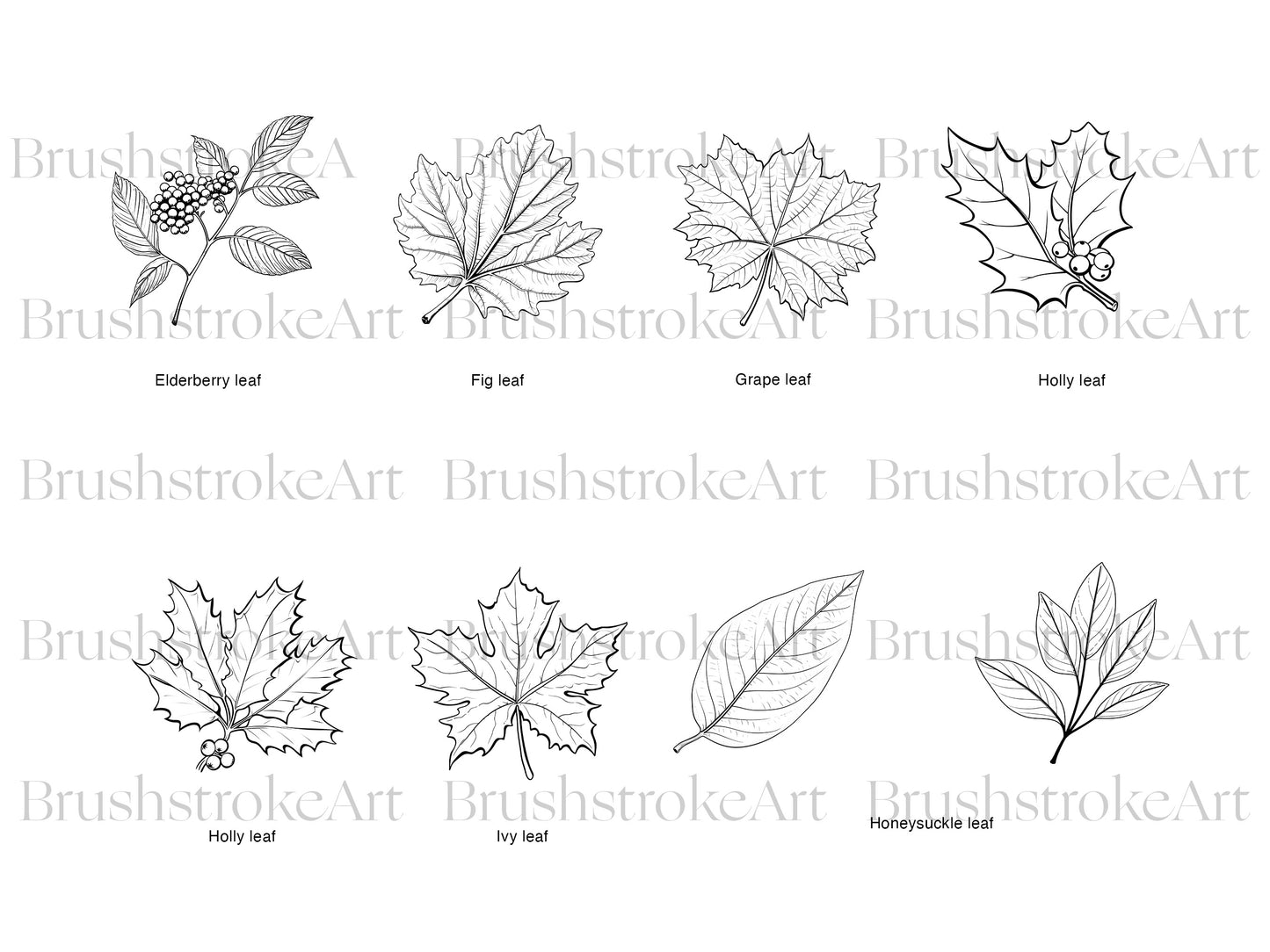 Leaf Line Art