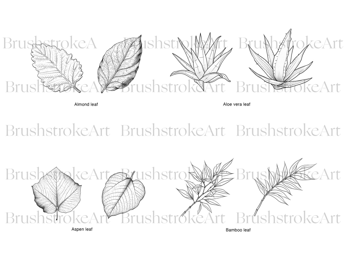 Leaves Silhouette