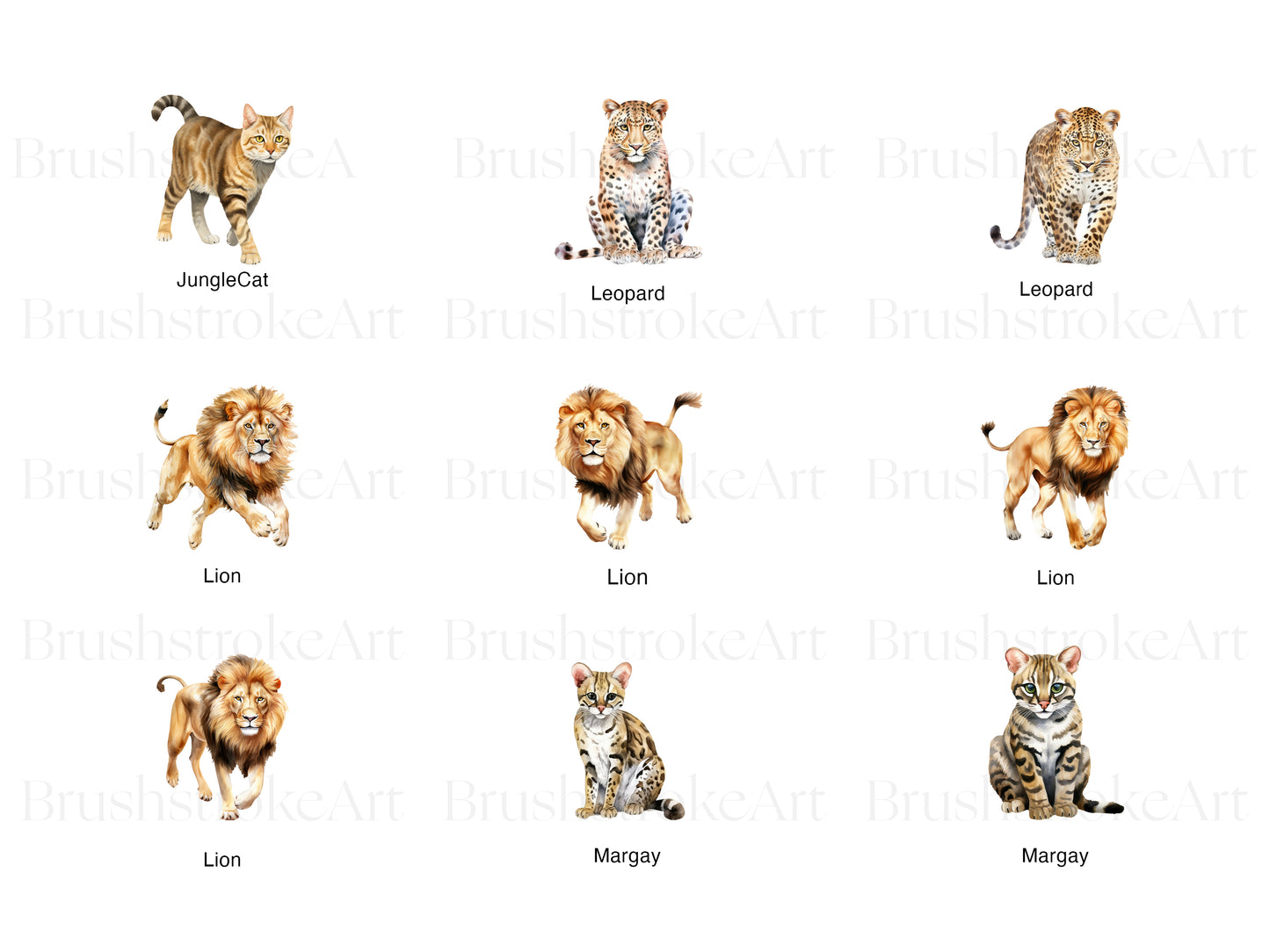 Lion Clipart