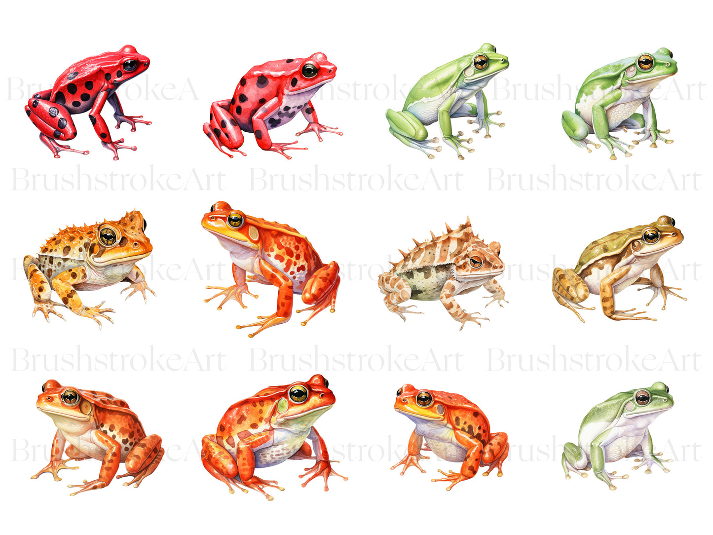 Watercolor Frog Clipart, Cane Toad, Leopard Frog PNG, Toad