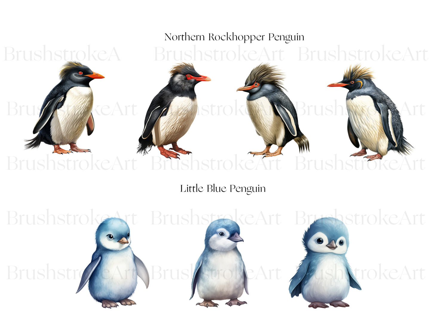 Little Penguin