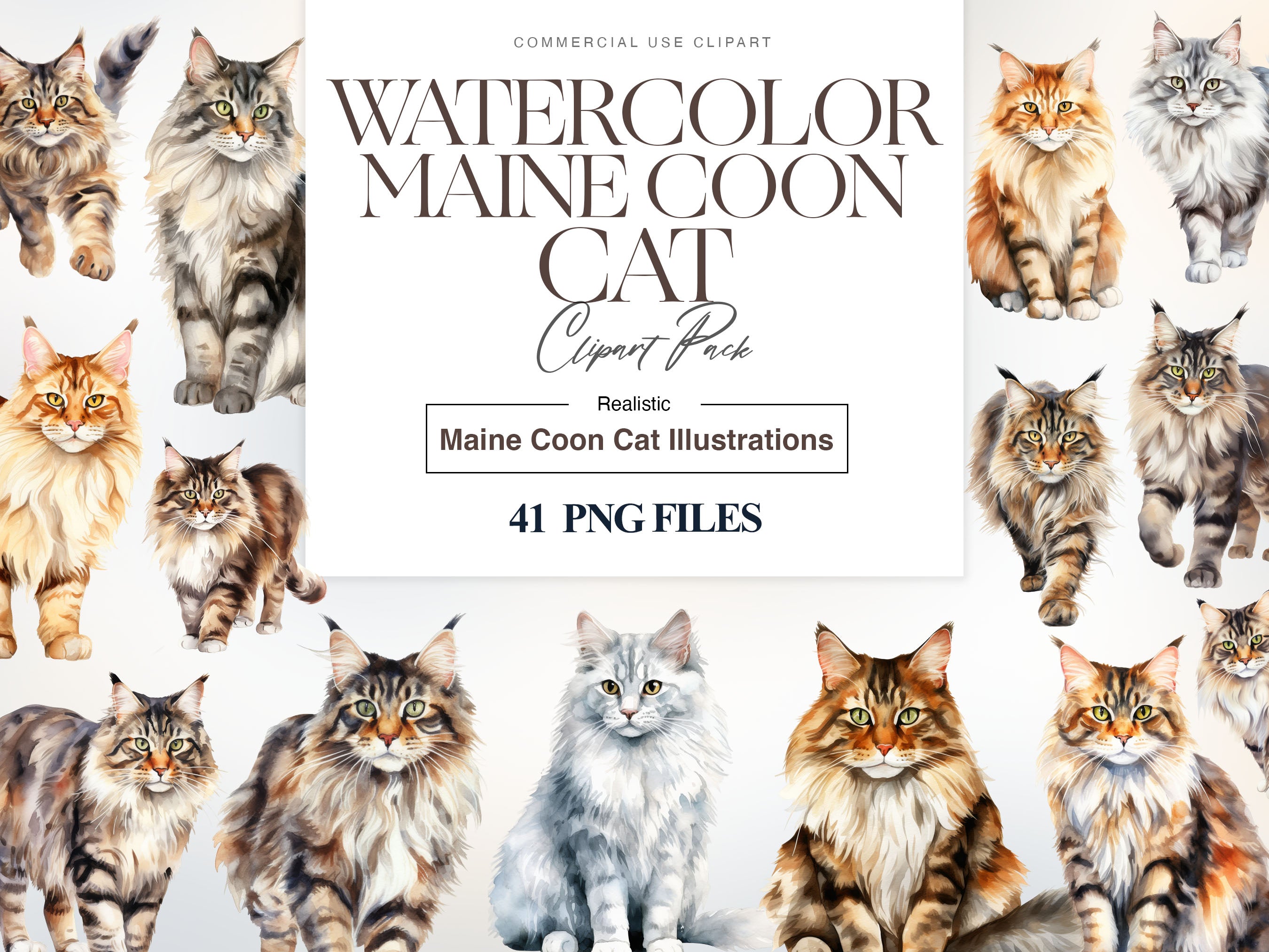 Maine Coon Cat Clipart, Cat Breeds, Maine Coon Png, Kittens – Clipartset