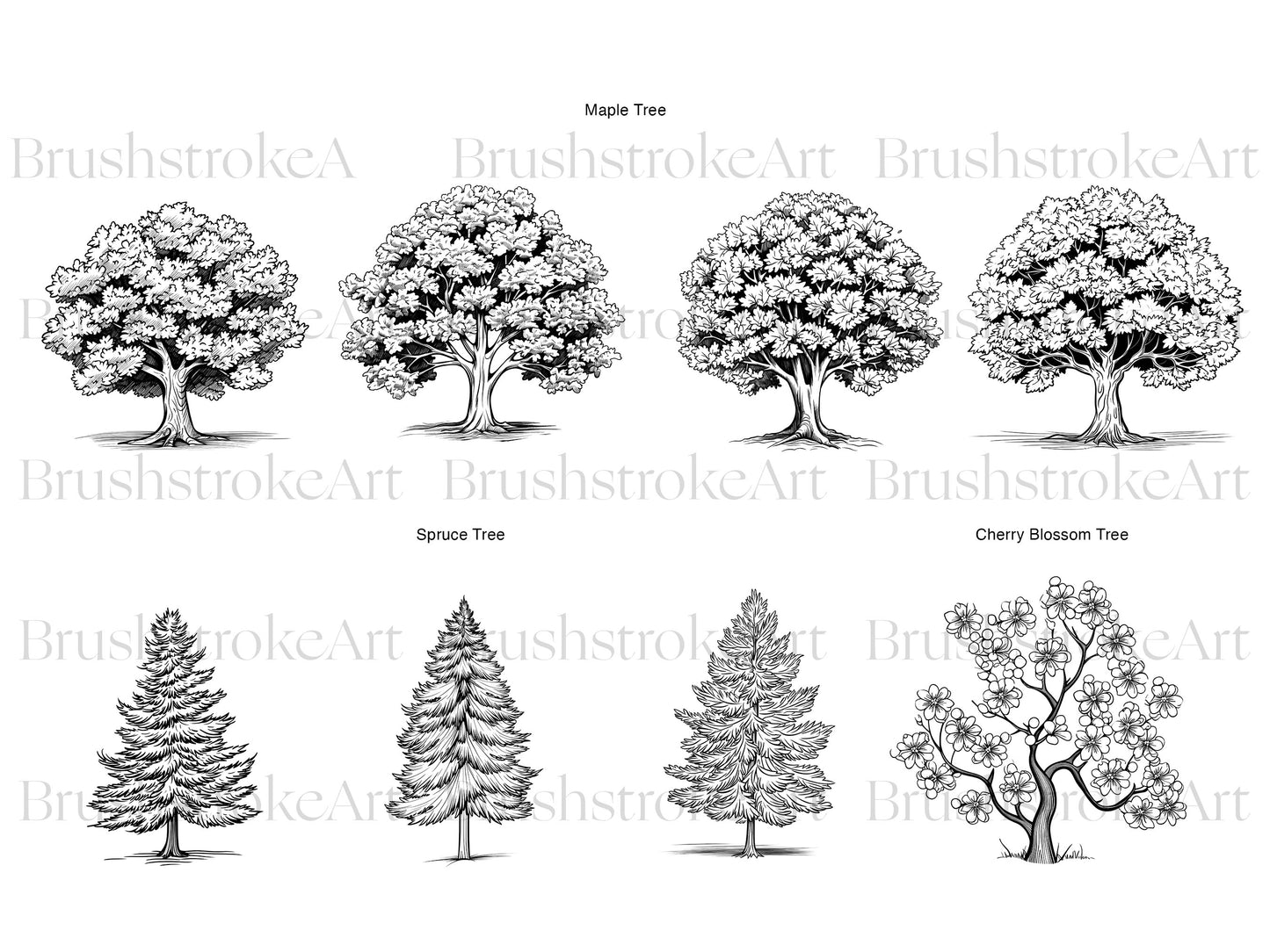 Maple Tree PNG
