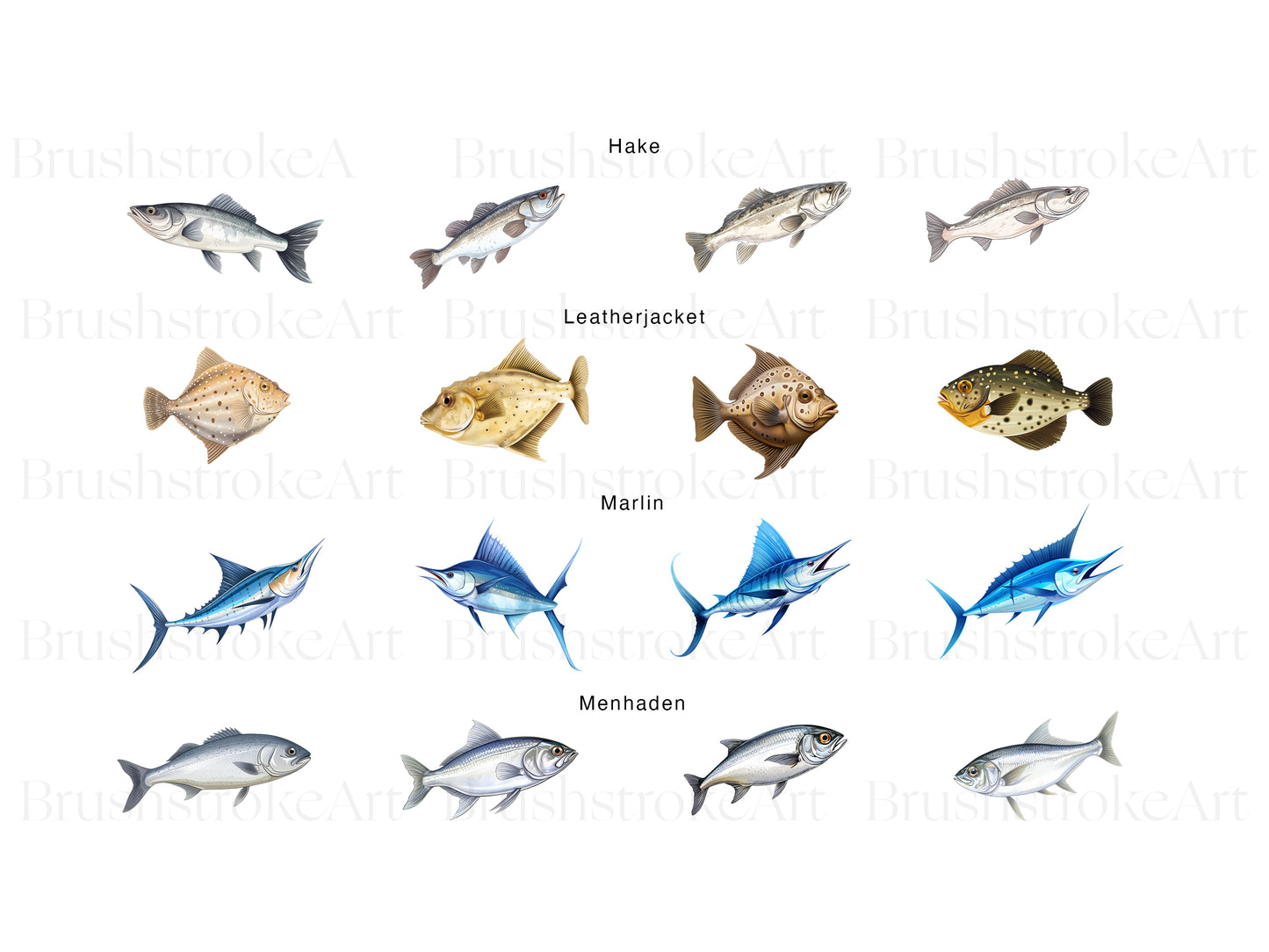 Marlin Clipart