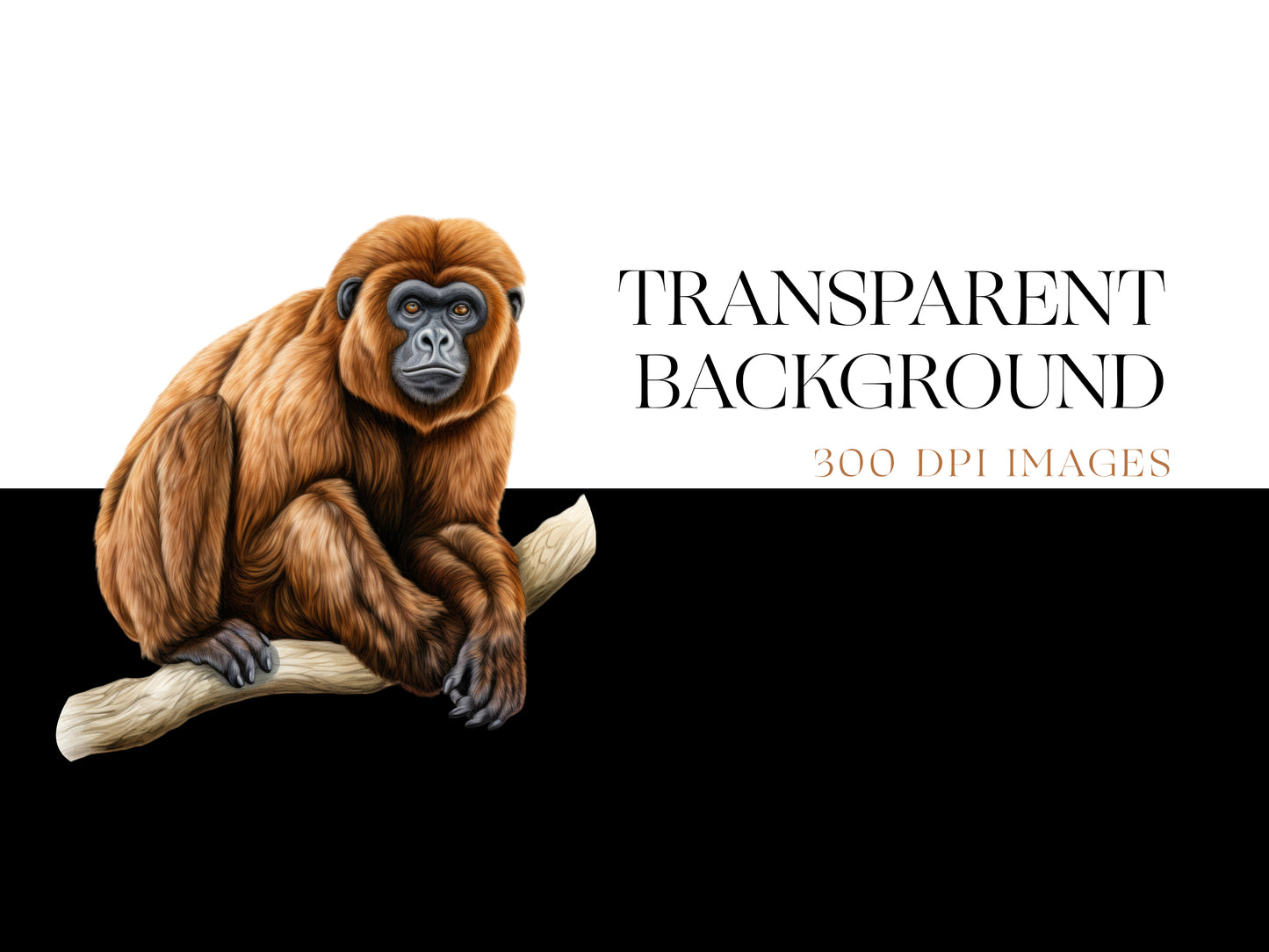 Monkey PNG