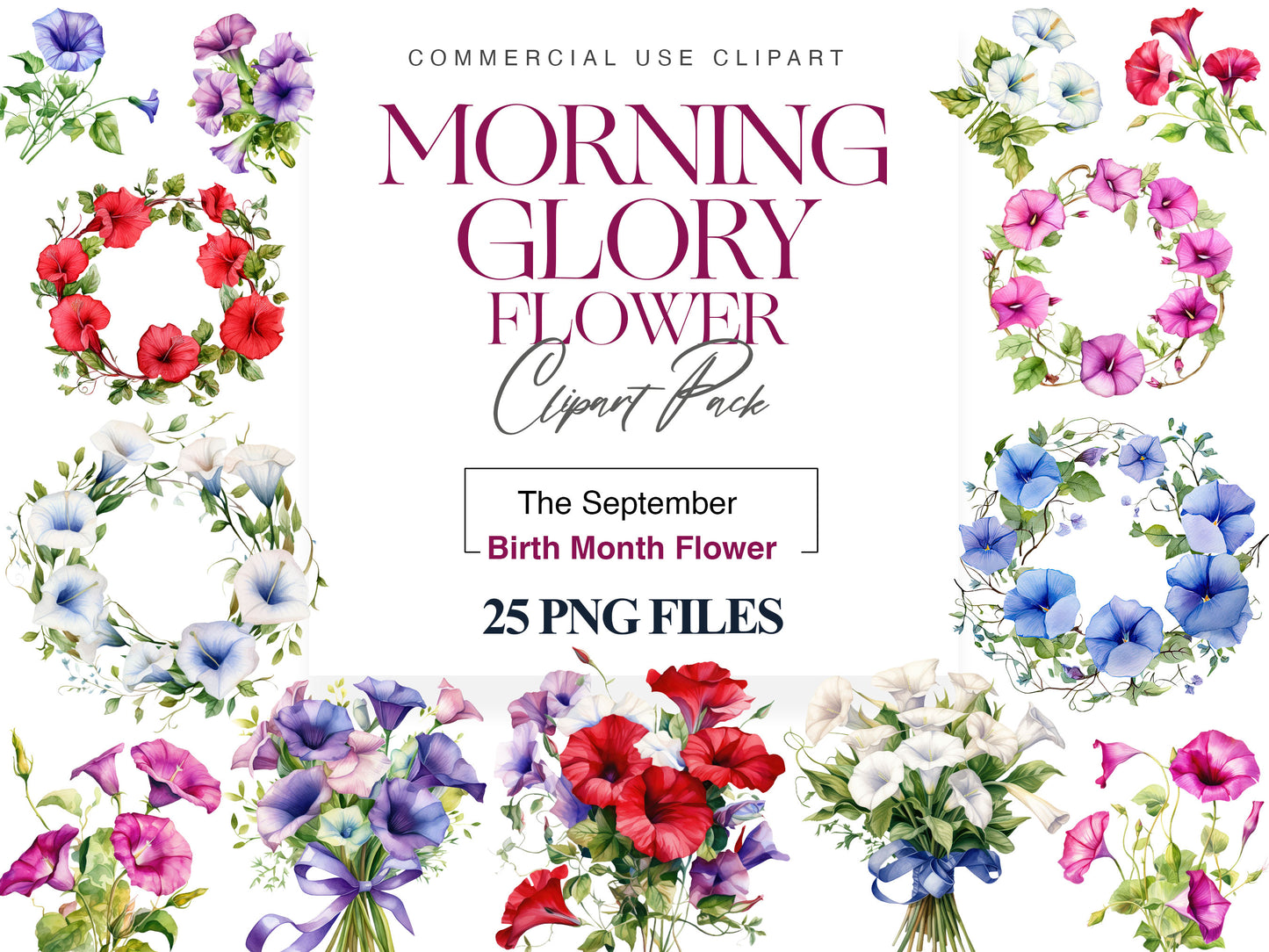 Morning glory clipart