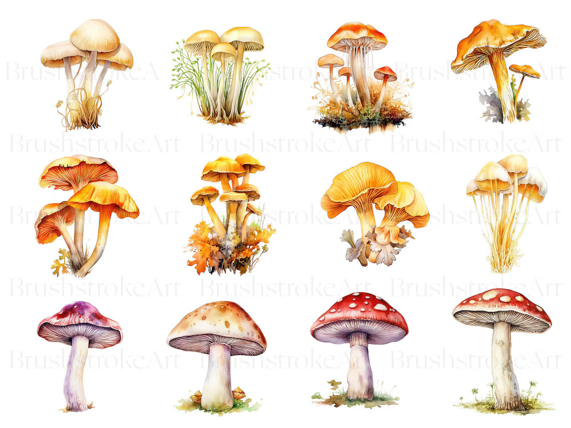 Mushroom Art