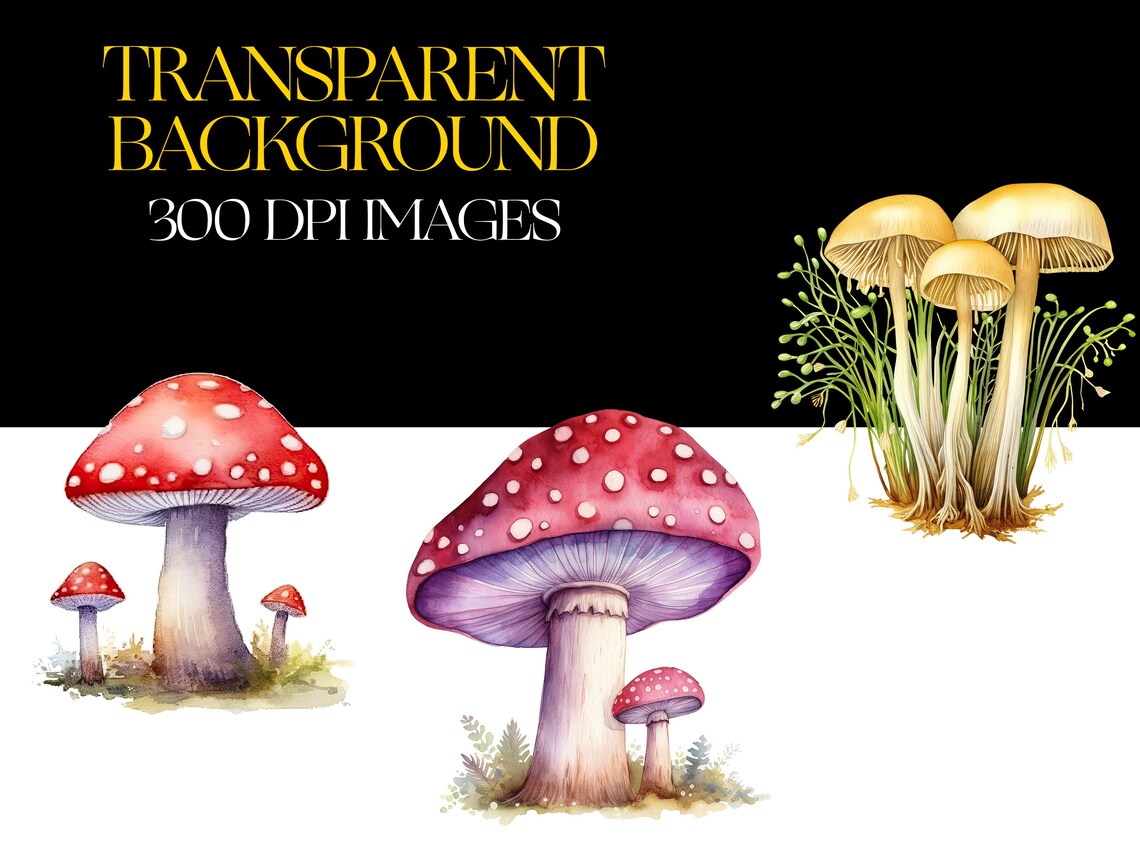 Mushroom Png