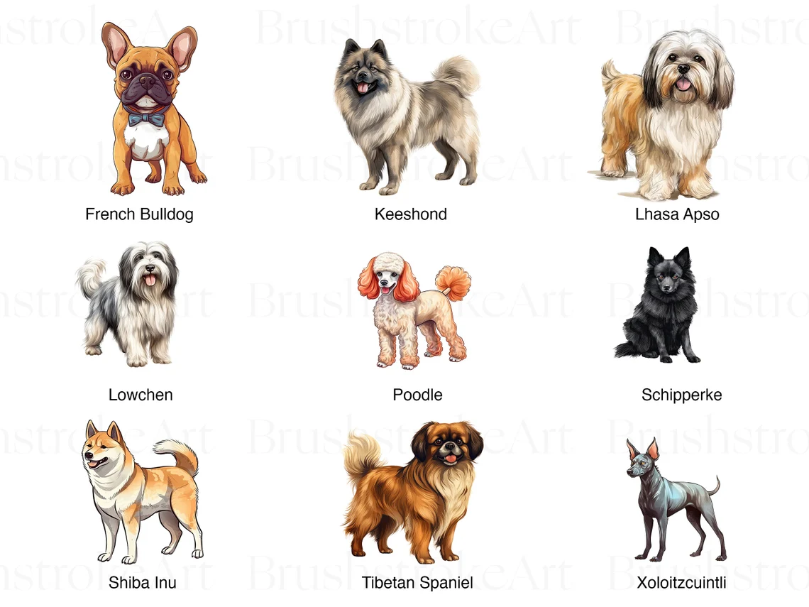 Non Sporting Dogs