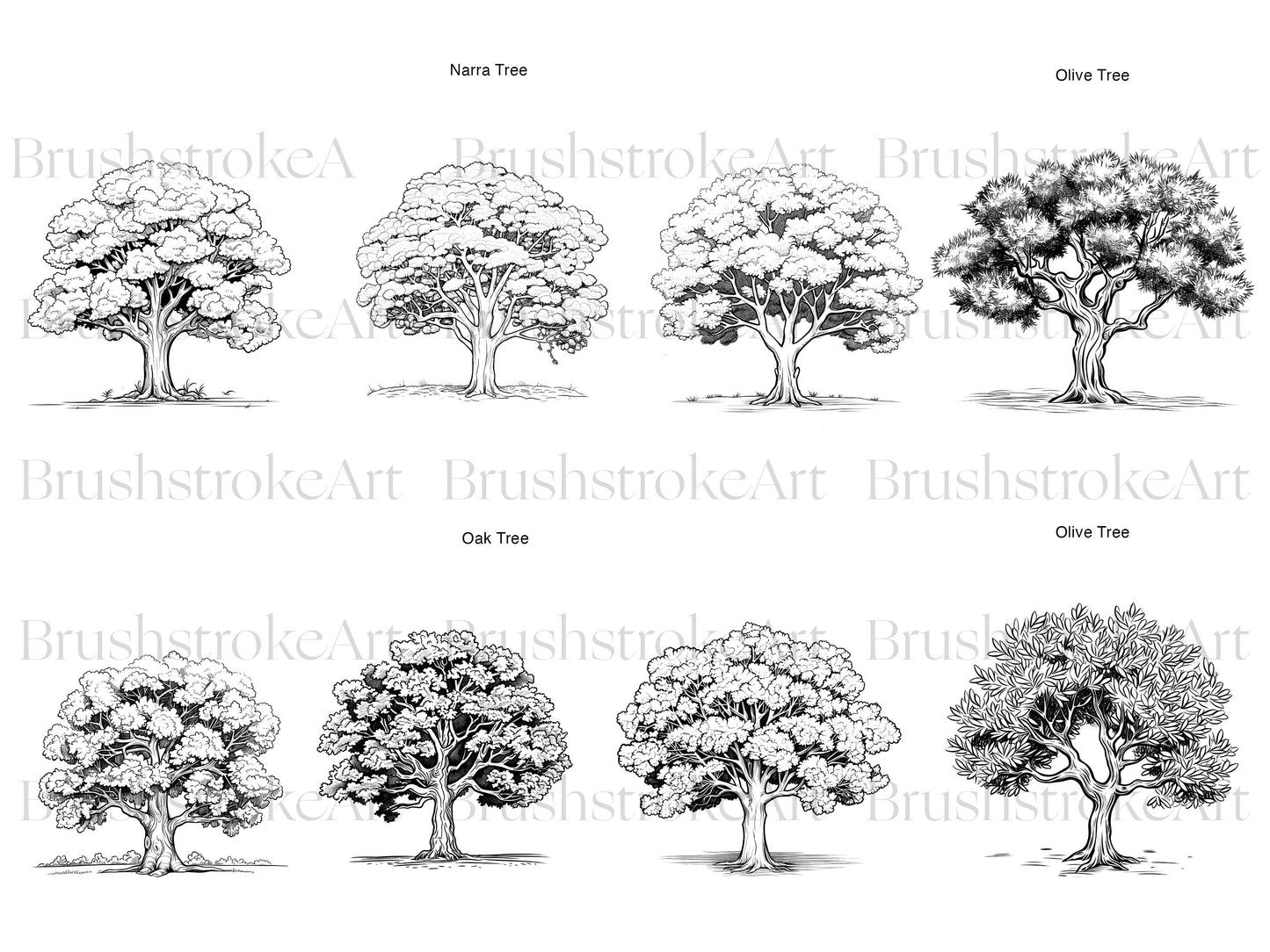 Oak Tree