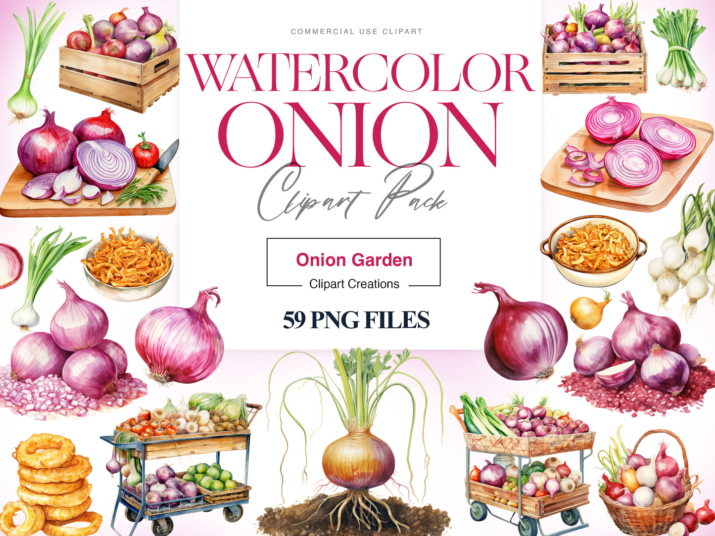 Onion Clipart
