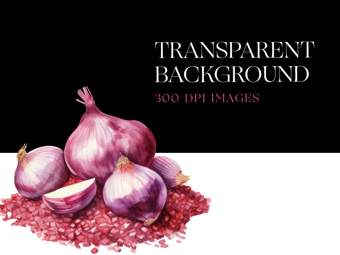 Onion PNG