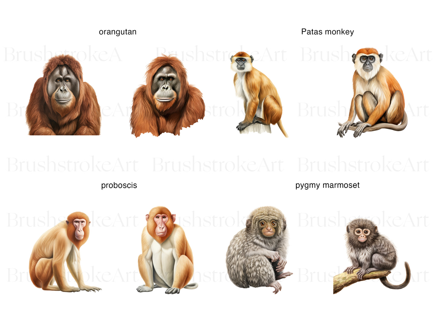 Orangutan Clipart