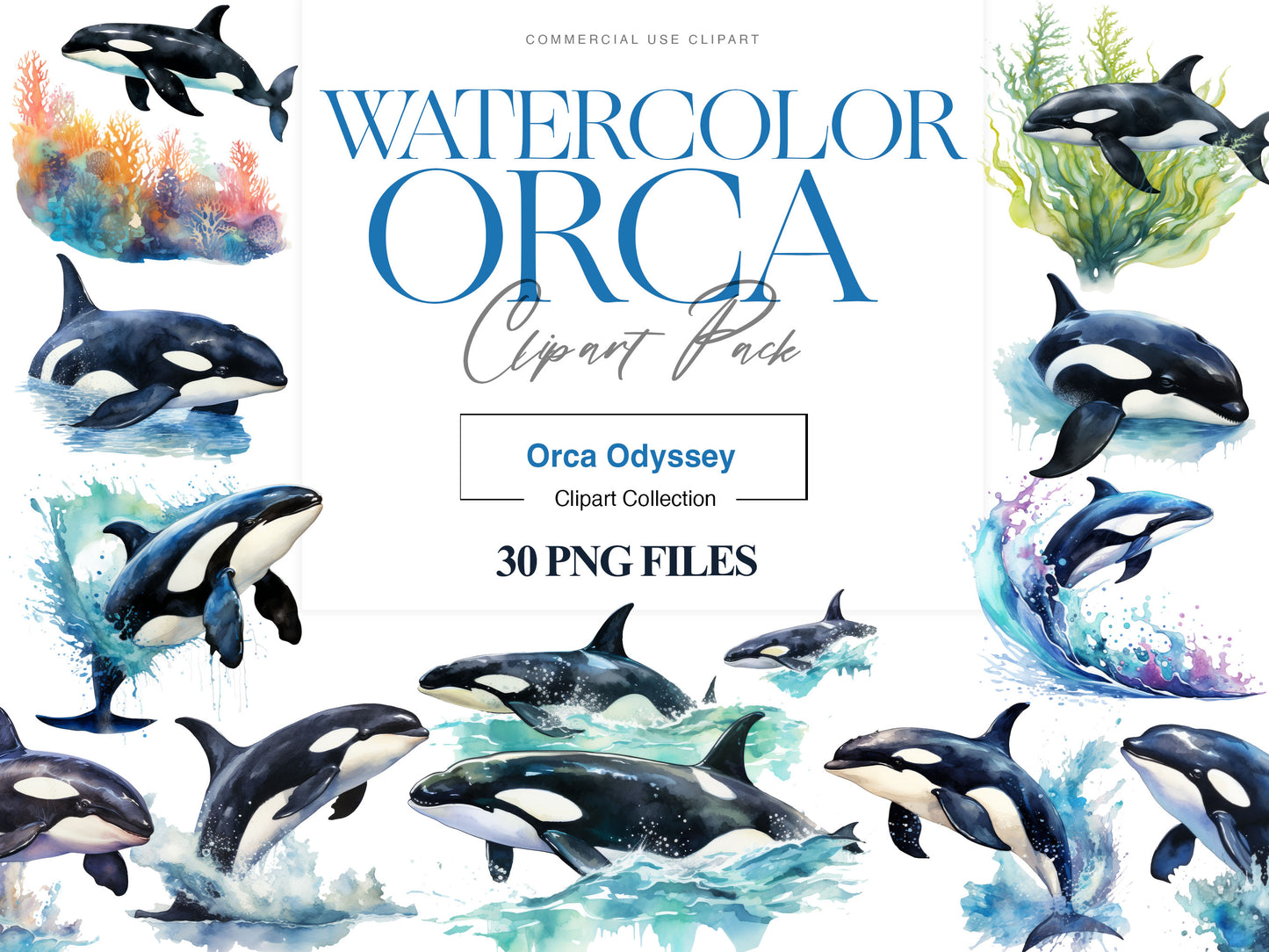 Orca Clipart