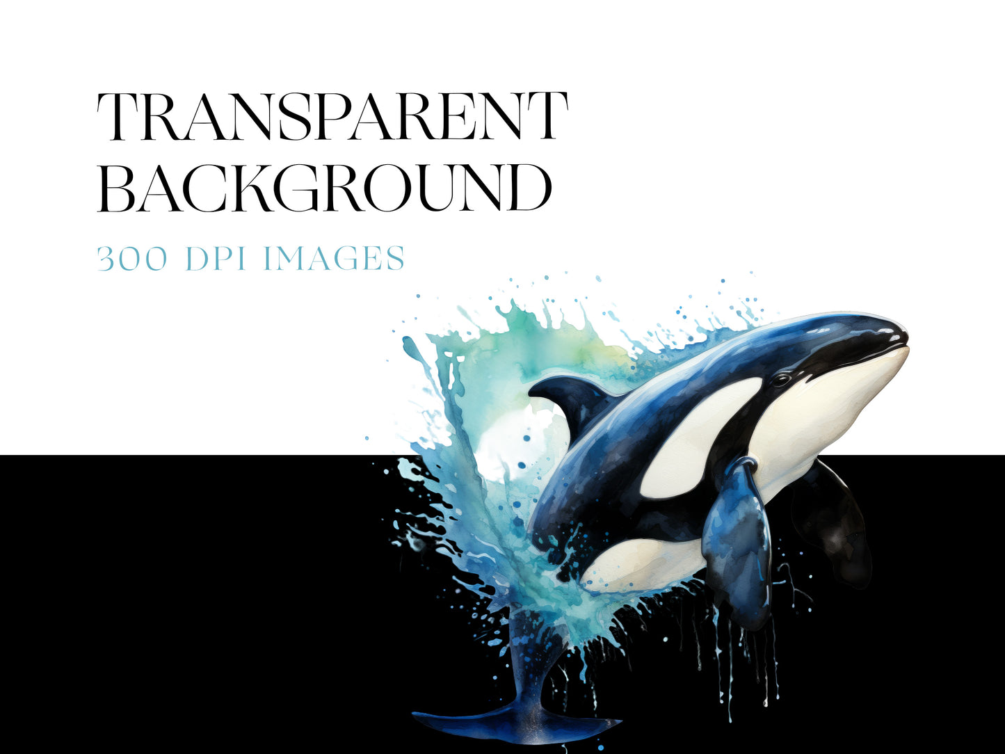 Orca PNG