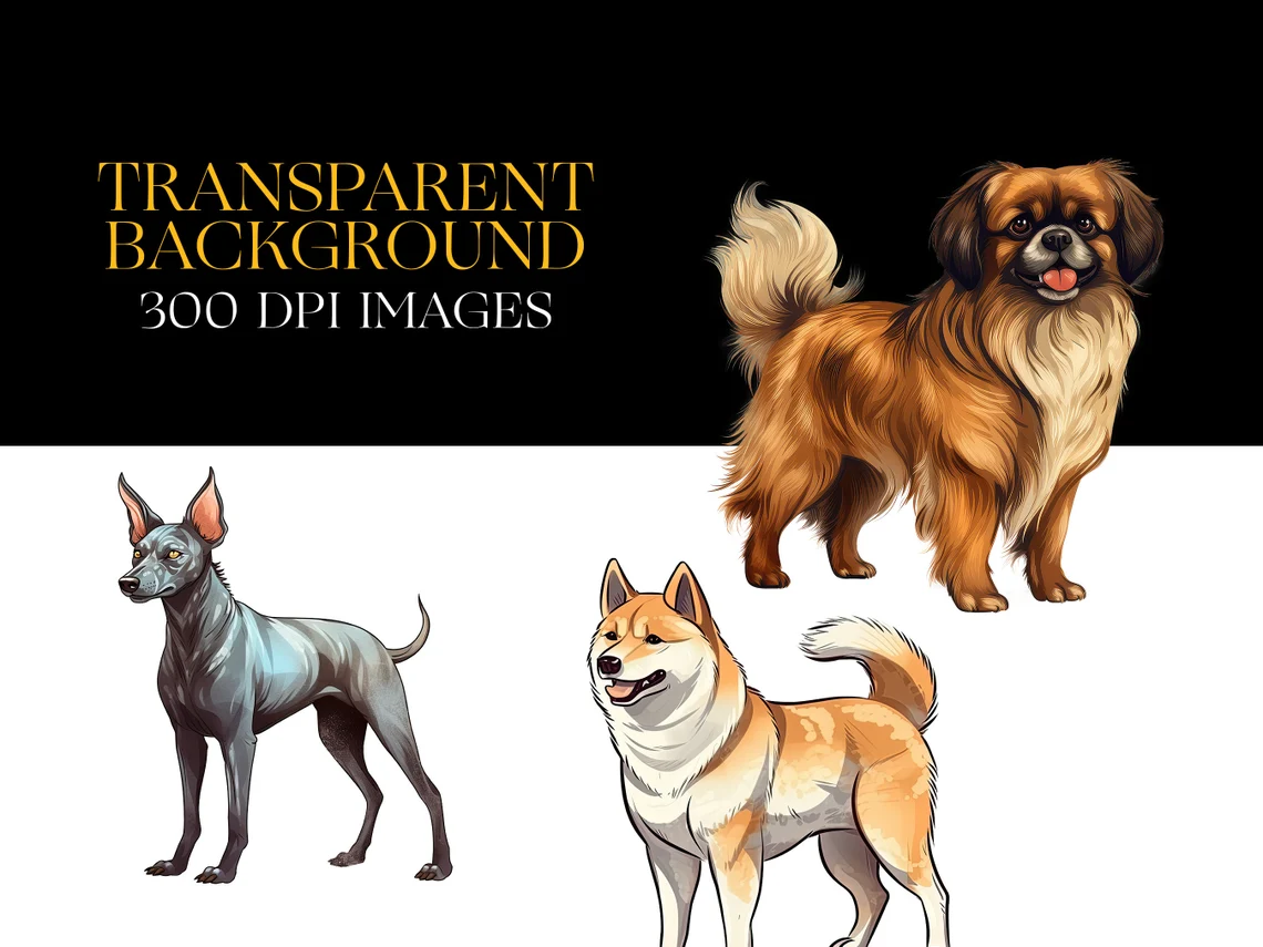 PNG Clipart