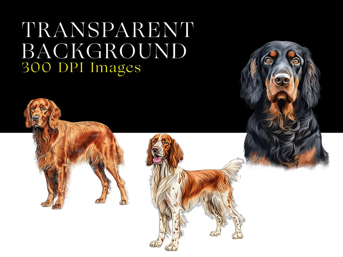 PNG Clipart