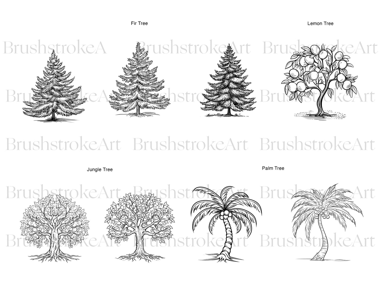 Palm Tree PNG
