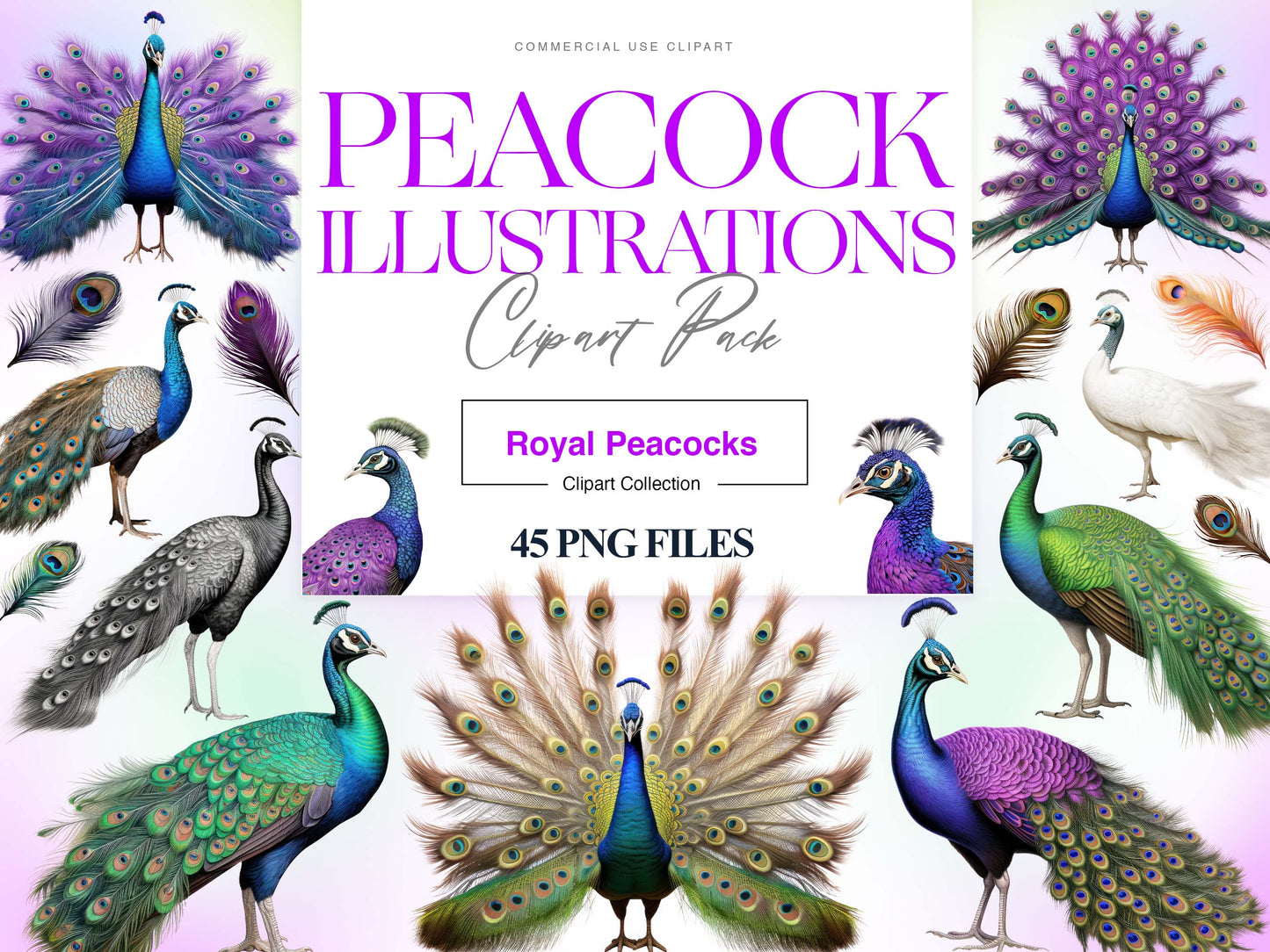 Peacock Clipart