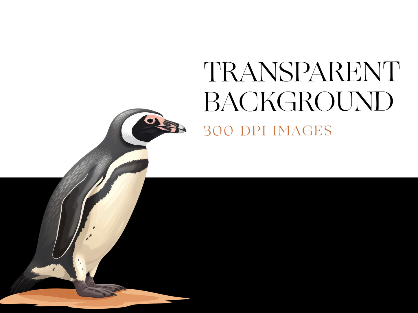 Penguin PNG