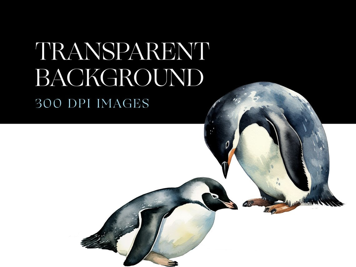 Penguin PNG