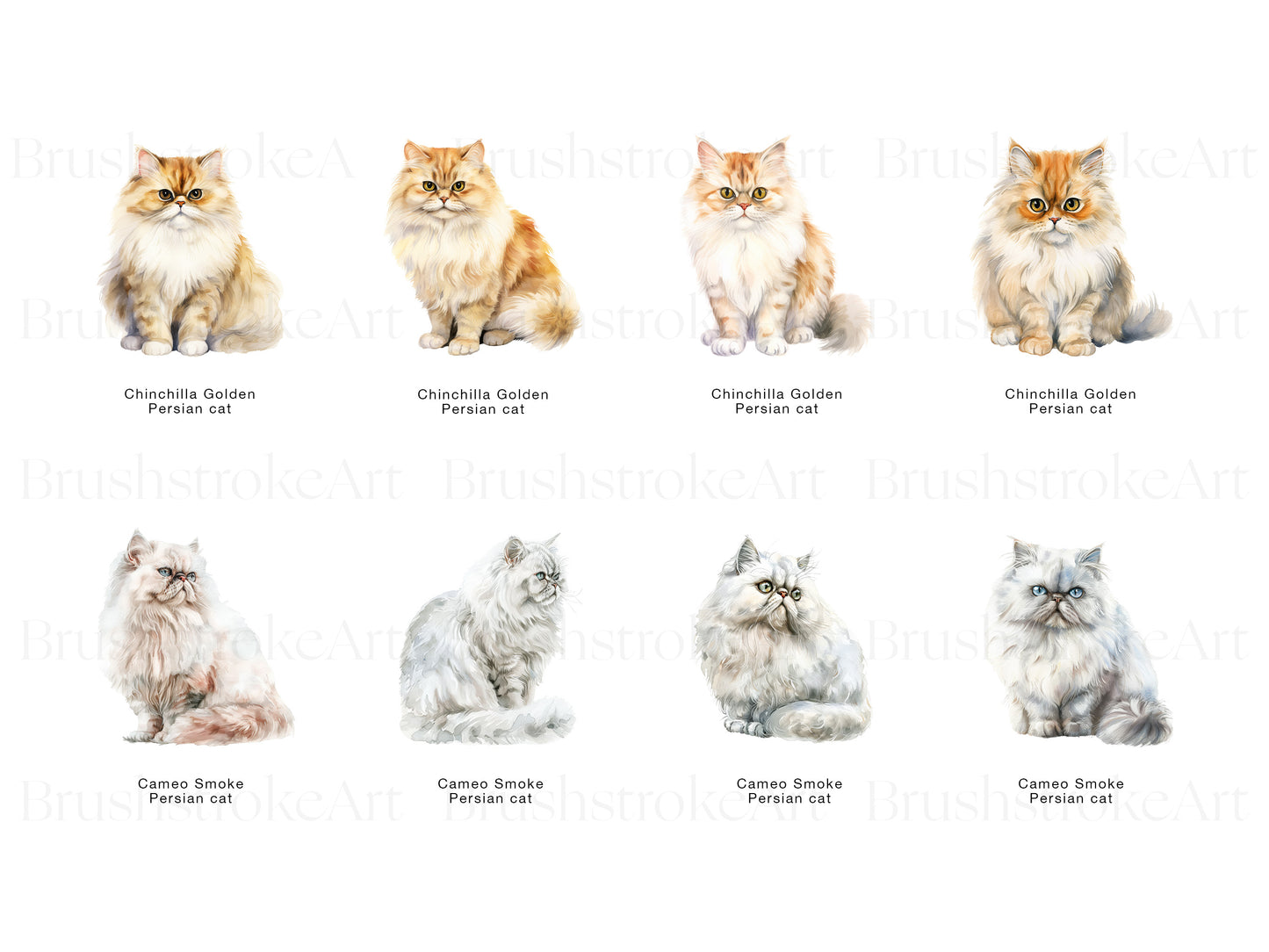 Persian Cat PNG