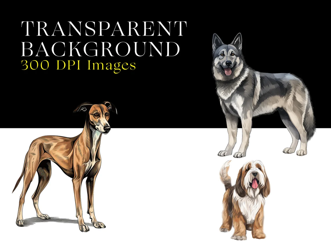 Pet Graphics